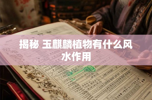揭秘 玉麒麟植物有什么风水作用