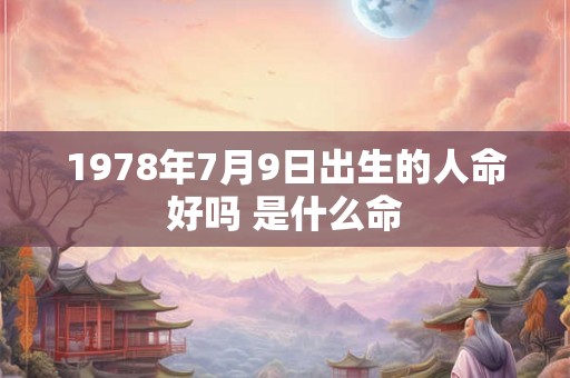 1978年7月9日出生的人命好吗 是什么命