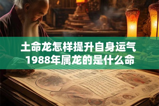 土命龙怎样提升自身运气 1988年属龙的是什么命
