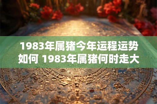1983年属猪今年运程运势如何 1983年属猪何时走大运