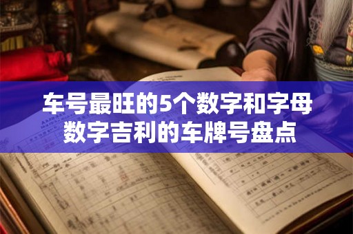 车号最旺的5个数字和字母 数字吉利的车牌号盘点