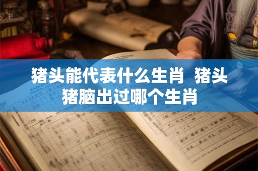 猪头能代表什么生肖  猪头猪脑出过哪个生肖