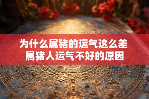 为什么属猪的运气这么差 属猪人运气不好的原因