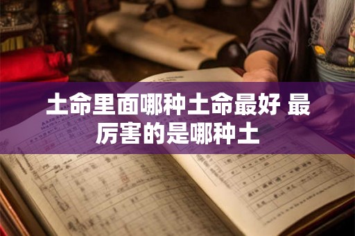 土命里面哪种土命最好 最厉害的是哪种土