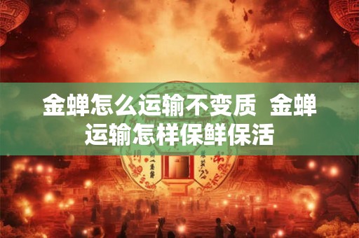 金蝉怎么运输不变质  金蝉运输怎样保鲜保活