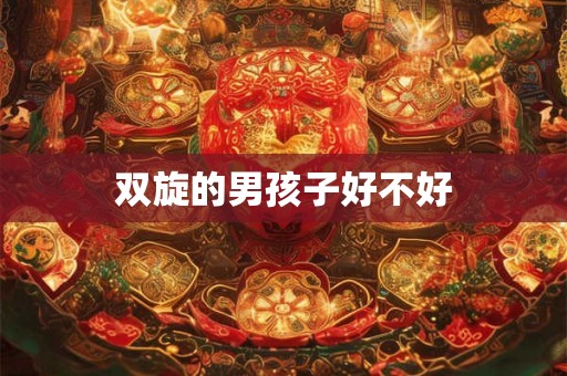 双旋的男孩子好不好