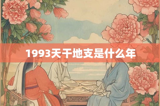 1993天干地支是什么年