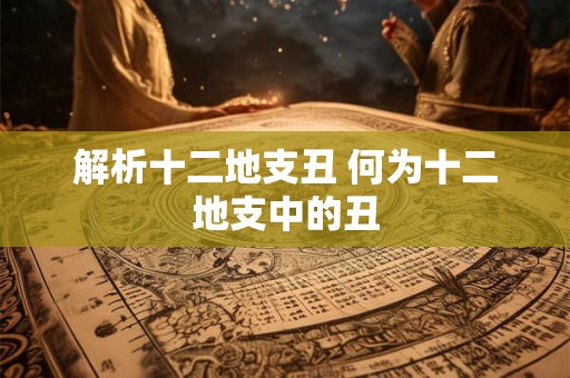 解析十二地支丑 何为十二地支中的丑
