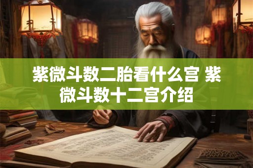 紫微斗数二胎看什么宫 紫微斗数十二宫介绍 紫微斗数二胎看什么宫 紫微斗数十二宫介绍