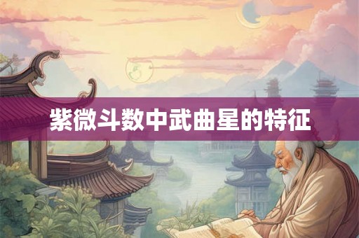 紫微斗数中武曲星的特征