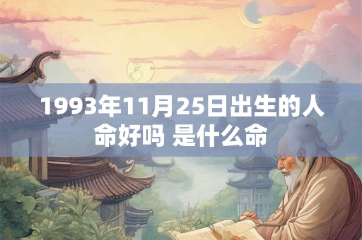 1993年11月25日出生的人命好吗 是什么命