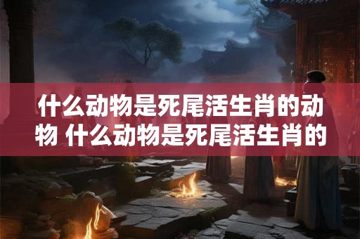 什么动物是死尾活生肖的动物 什么动物是死尾活生肖的动物图片