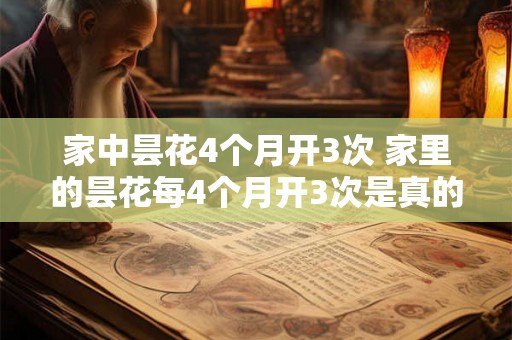 家中昙花4个月开3次 家里的昙花每4个月开3次是真的吗 家中昙花4个月开3次 家里的昙花每4个月开3次是真的吗