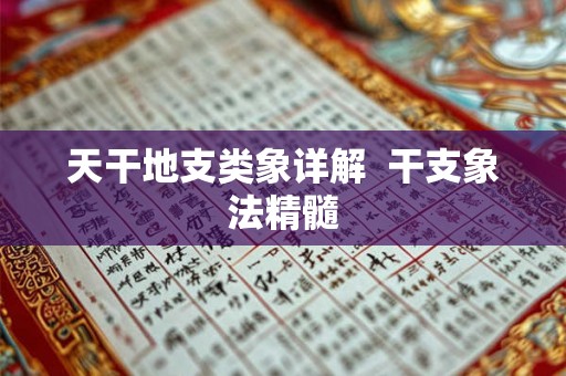 天干地支类象详解  干支象法精髓
