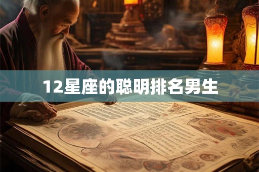 12星座的聪明排名男生