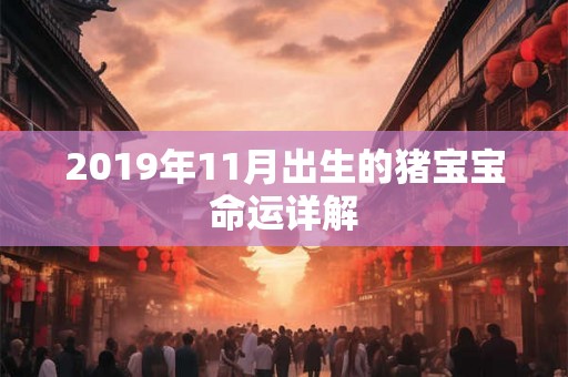 2019年11月出生的猪宝宝命运详解 2019年11月出生的猪宝宝命运详解