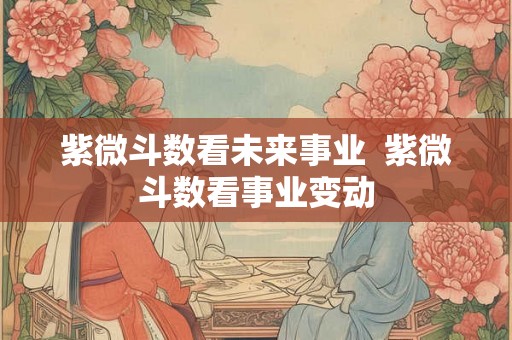 紫微斗数看未来事业  紫微斗数看事业变动