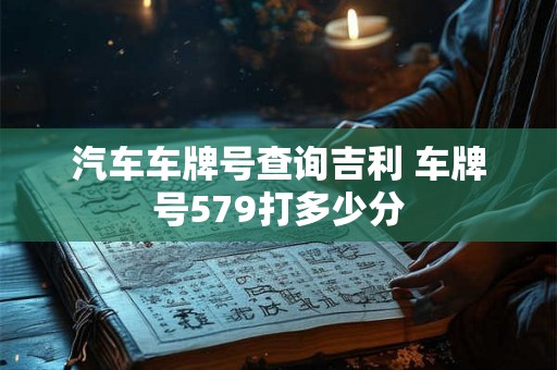 汽车车牌号查询吉利 车牌号579打多少分
