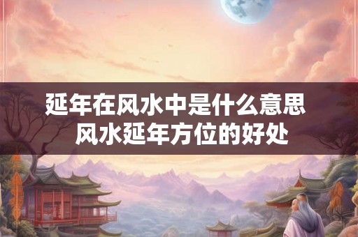 延年在风水中是什么意思  风水延年方位的好处