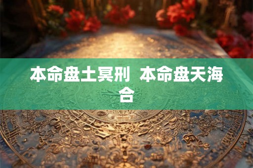 本命盘土冥刑  本命盘天海合