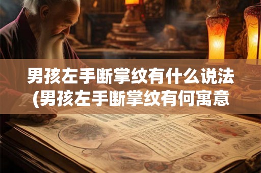 男孩左手断掌纹有什么说法(男孩左手断掌纹有何寓意？)
