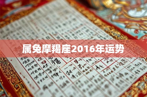 属兔摩羯座2016年运势