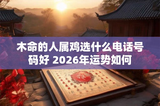 木命的人属鸡选什么电话号码好 2026年运势如何