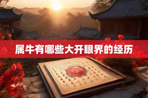 属牛有哪些大开眼界的经历