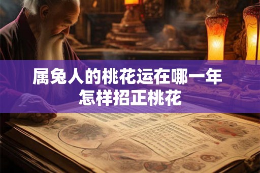属兔人的桃花运在哪一年 怎样招正桃花