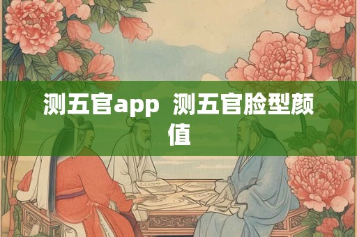 测五官app  测五官脸型颜值