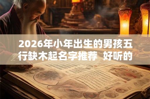 2026年小年出生的男孩五行缺木起名字推荐  好听的
