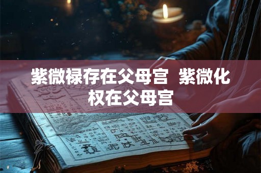 紫微禄存在父母宫  紫微化权在父母宫