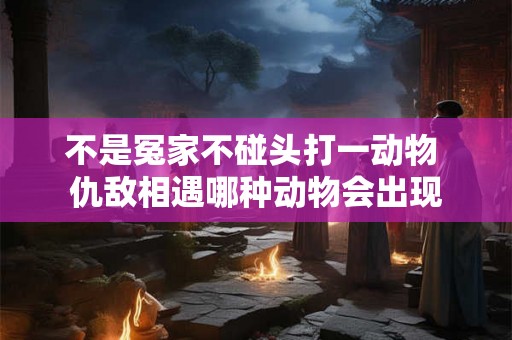 不是冤家不碰头打一动物 仇敌相遇哪种动物会出现