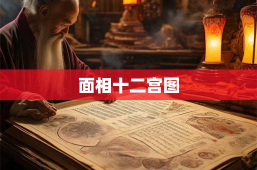 面相十二宫图