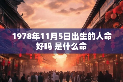 1978年11月5日出生的人命好吗 是什么命