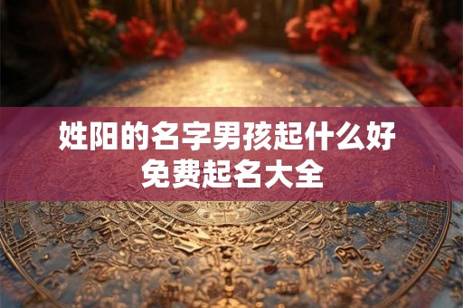 姓阳的名字男孩起什么好 免费起名大全