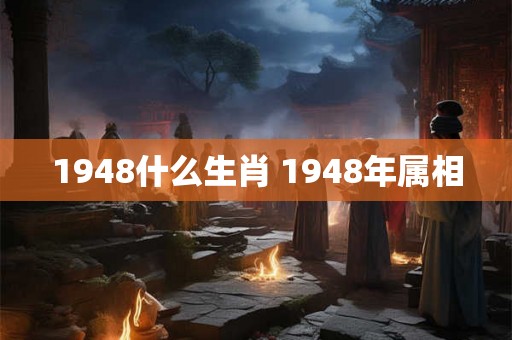 1948什么生肖 1948年属相
