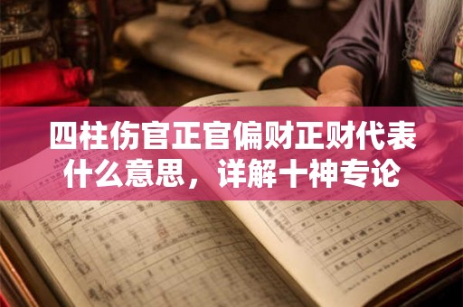 四柱伤官正官偏财正财代表什么意思，详解十神专论