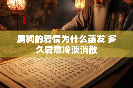属狗的爱情为什么蒸发 多久爱意冷淡消散
