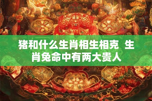 猪和什么生肖相生相克  生肖兔命中有两大贵人