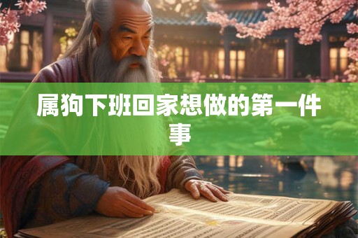 属狗下班回家想做的第一件事