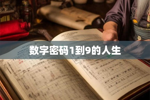 数字密码1到9的人生 数字密码1到9的人生