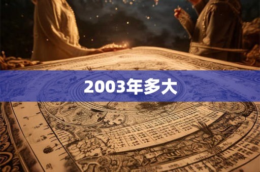 2003年多大