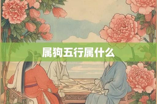 属狗五行属什么