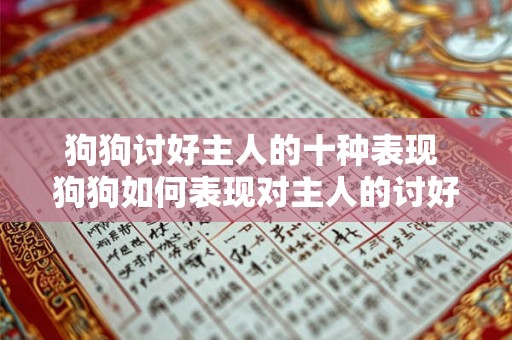 狗狗讨好主人的十种表现 狗狗如何表现对主人的讨好之情