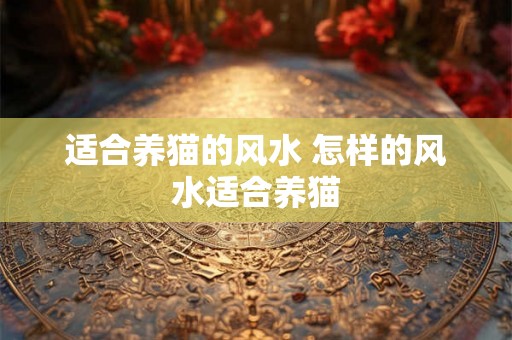 适合养猫的风水 怎样的风水适合养猫