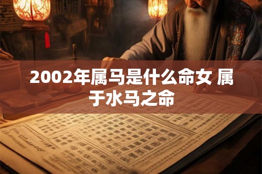 2002年属马是什么命女 属于水马之命