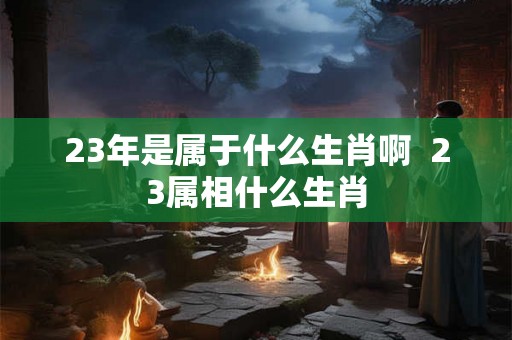 23年是属于什么生肖啊  23属相什么生肖