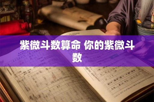 紫微斗数算命 你的紫微斗数