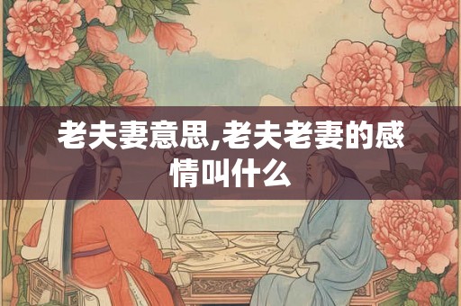 老夫妻意思,老夫老妻的感情叫什么